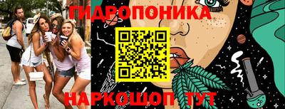 spice Моздок