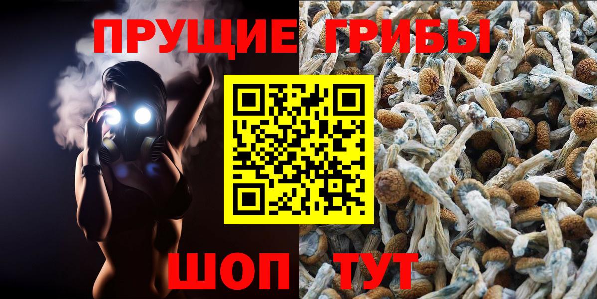 Псилоцибиновые грибы Psilocybine cubensis  Вход с VPN  Татарск 