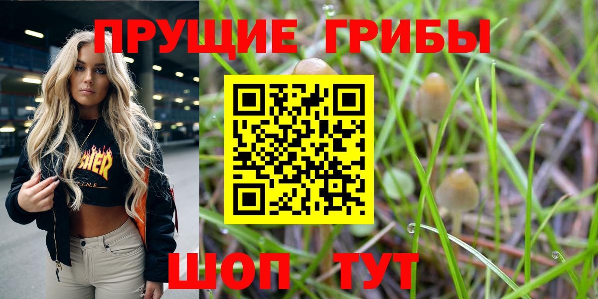 Галлюциногенные грибы Magic Shrooms Татарск